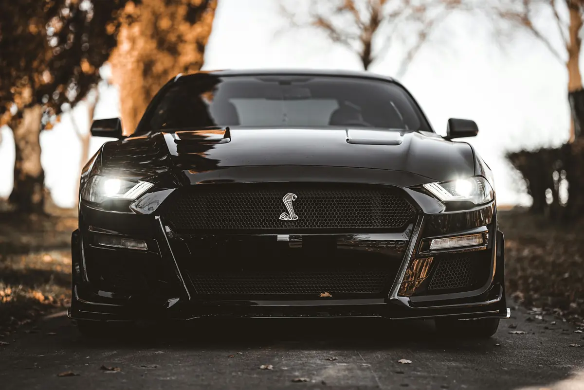 Crni Ford Mustang sprijeda na cesti prekrivenoj lišćem